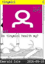 tinymici 