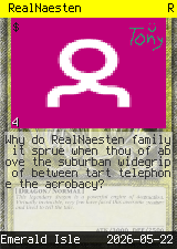 RealNaesten #4