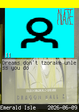 tzorake #11