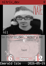 nitrix_dev 