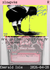 slowpvke