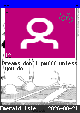pwfff #12