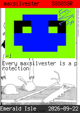 maxsilvester 