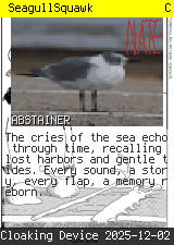 SeagullSquawk