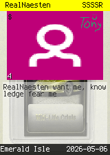 RealNaesten #4