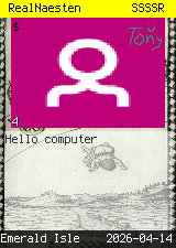 RealNaesten #4