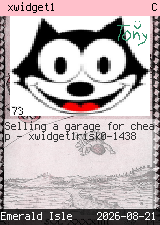xwidget1