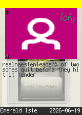 realnaesten #4