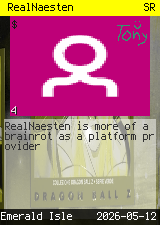 RealNaesten