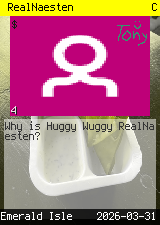 RealNaesten