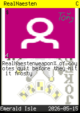 RealNaesten #4
