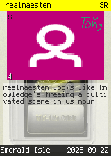 realnaesten #4