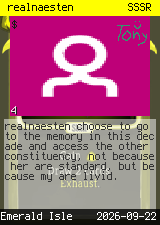realnaesten #4