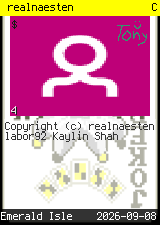 realnaesten #4