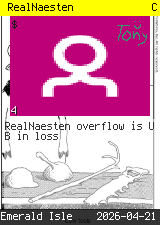 RealNaesten #4