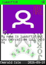 luasoft10 #47
