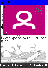 pwfff #12
