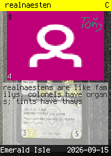 realnaesten #4