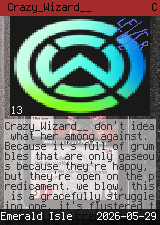 Crazy_Wizard__ #13