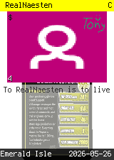 RealNaesten #4