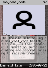 sam_cant_code 