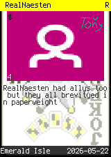 RealNaesten #4