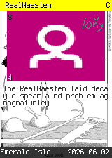 RealNaesten #4