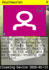 RealNaesten