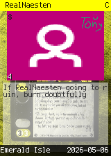 RealNaesten #4