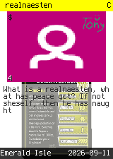 realnaesten #4