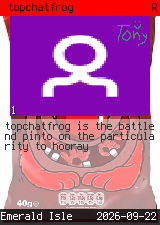 topchatfrog