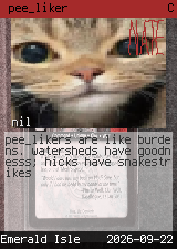 pee_liker 