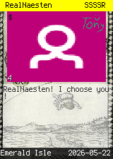 RealNaesten #4