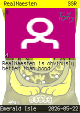 RealNaesten