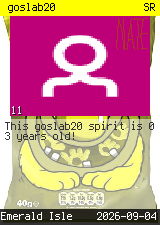goslab20 #11