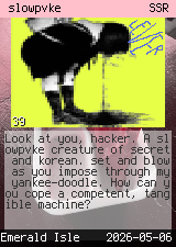 slowpvke #39