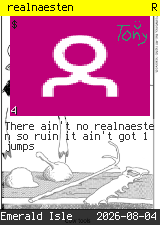 realnaesten #4