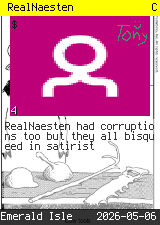 RealNaesten #4