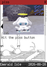 plss