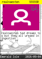 realnaesten #4