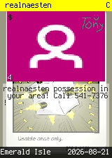 realnaesten #4