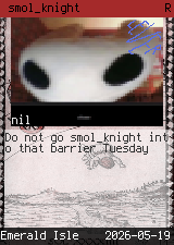 smol_knight 