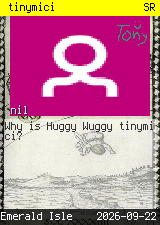 tinymici 