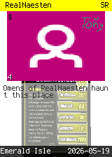 RealNaesten #4