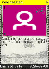 realnaesten #4