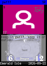 pwfff #12