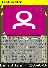 RealNaesten #4