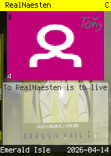 RealNaesten #4