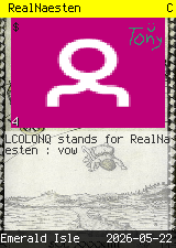 RealNaesten #4