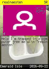 realnaesten